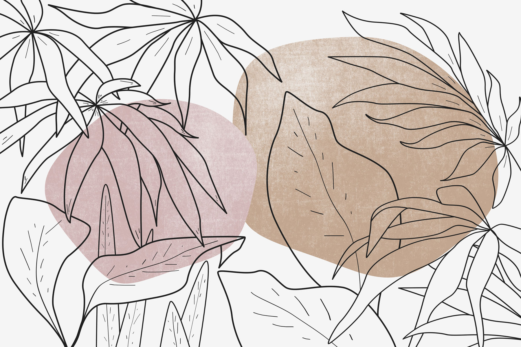 Drawing of leaves and plants