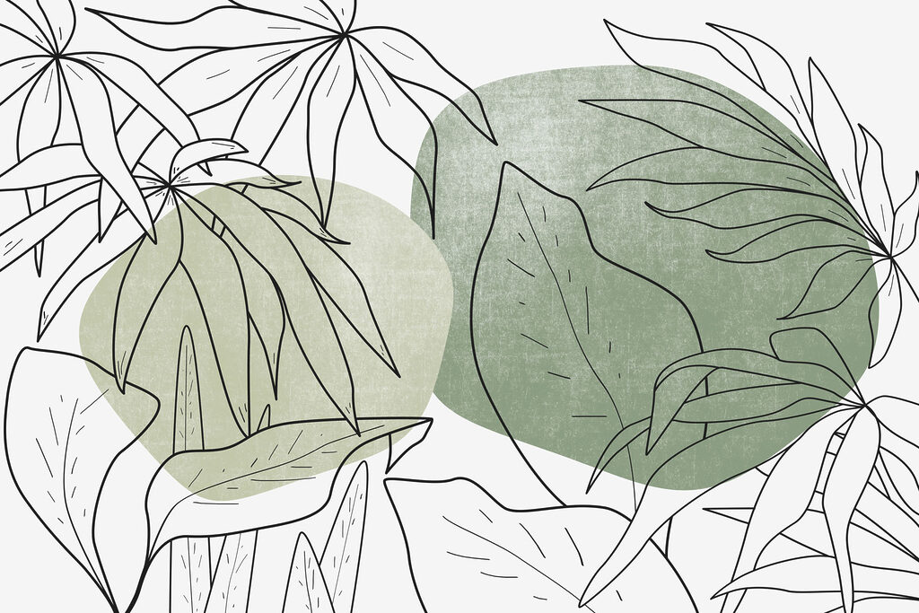 Desenho de folhas e plantas Desenho de folhas e plantas