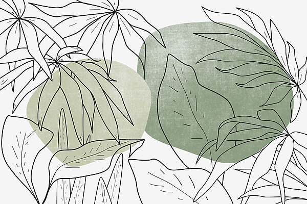 Desenho de folhas e plantas Desenho de folhas e plantas