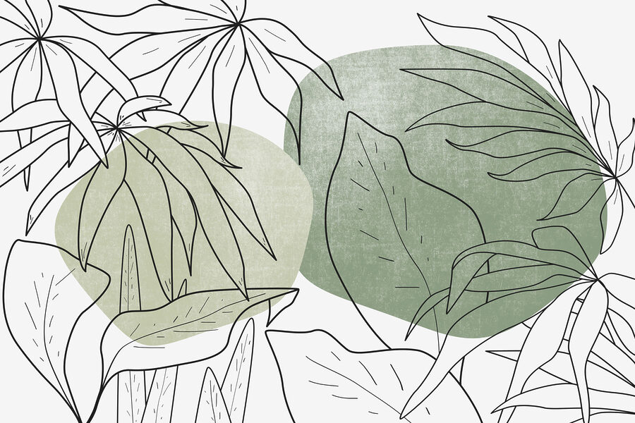 Papel de parede Desenho de folhas e plantas - Image 3