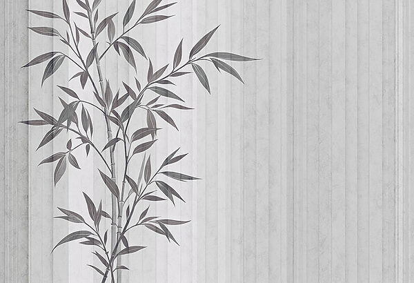 Planta com folhas Planta com folhas