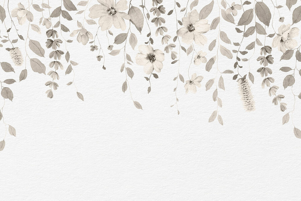 Desenho botânico suave sobre fundo branco Desenho botânico suave sobre fundo branco