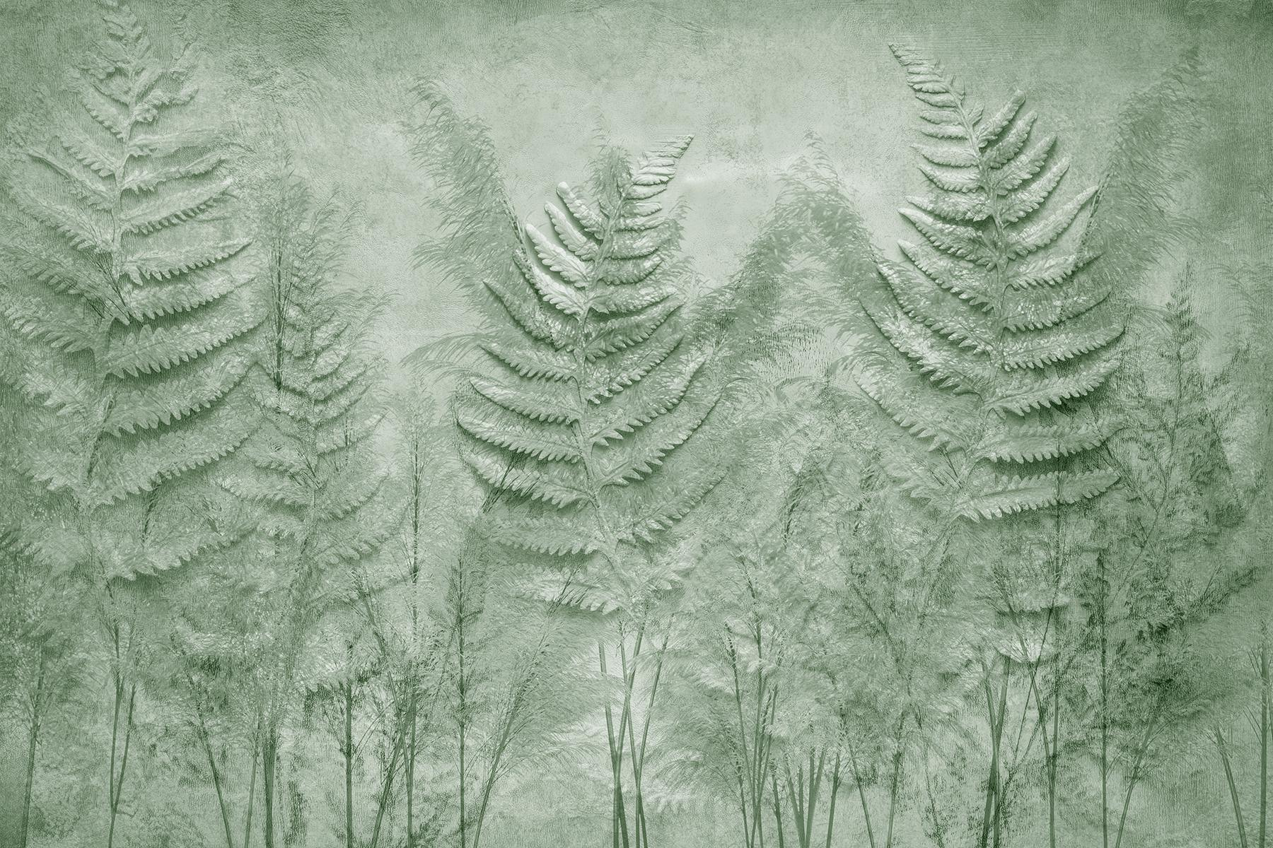 Fern fronds in a wall