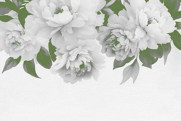 Grupo de flores brancas com folhas verdes Grupo de flores brancas com folhas verdes