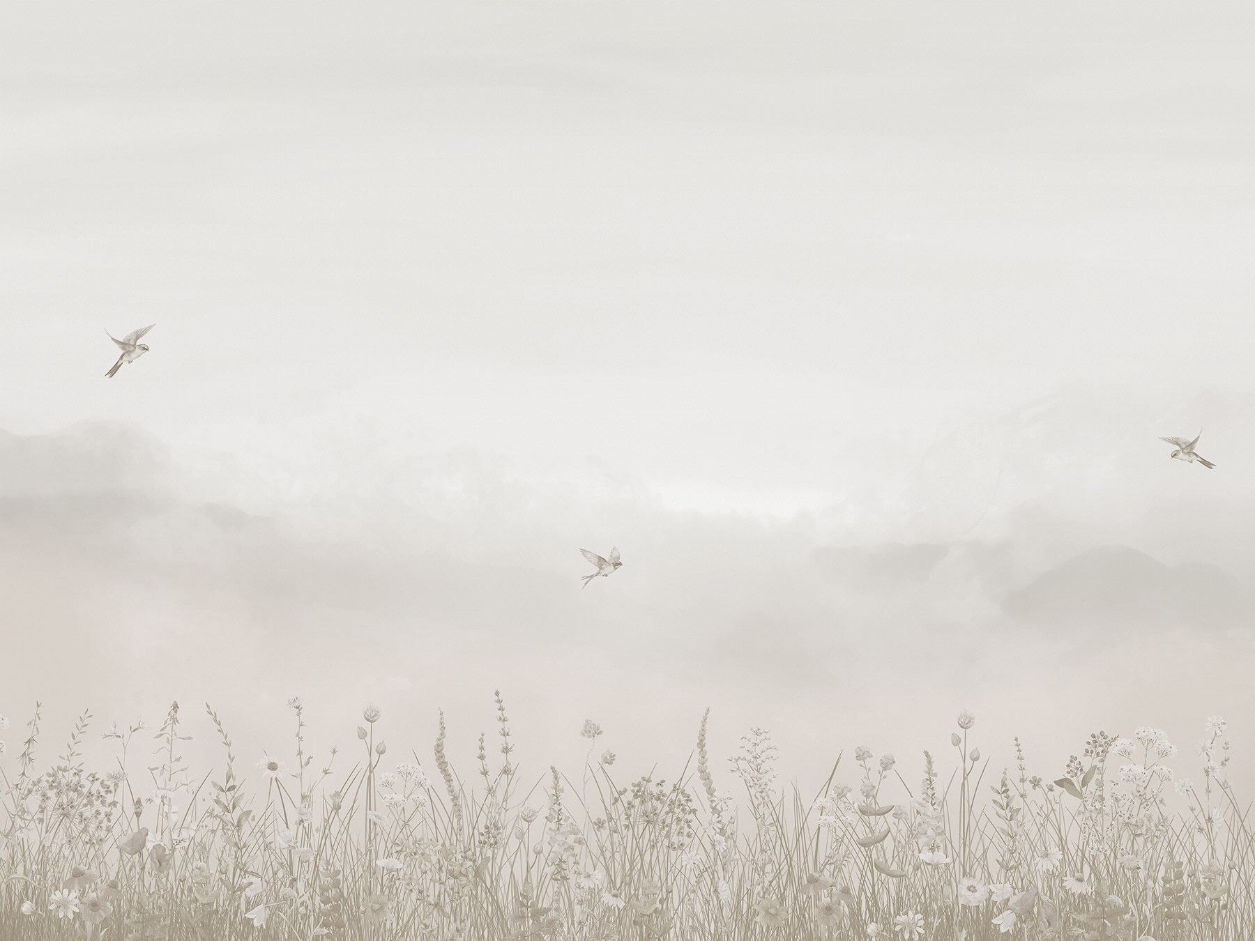 Bird flying over a field of flowers
