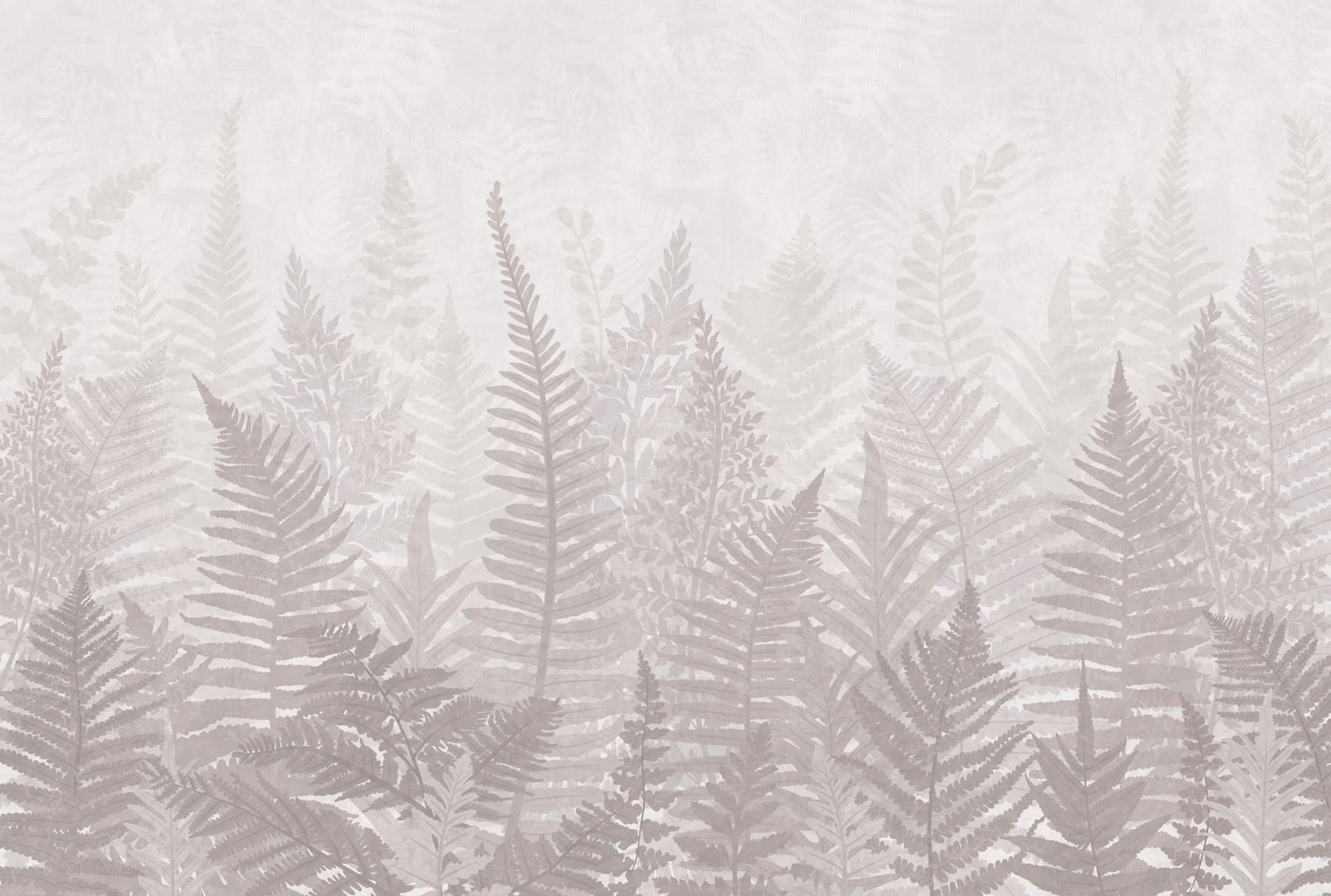Fern leaves in a foggy environment