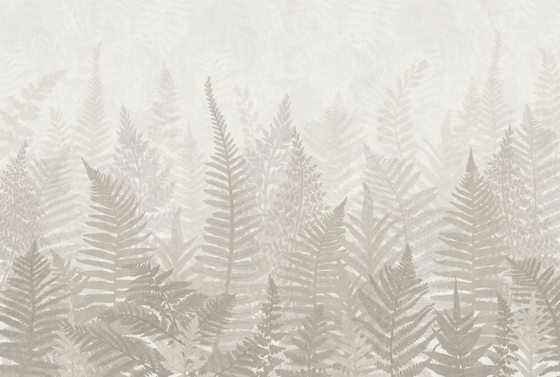 Fern leaves in a row