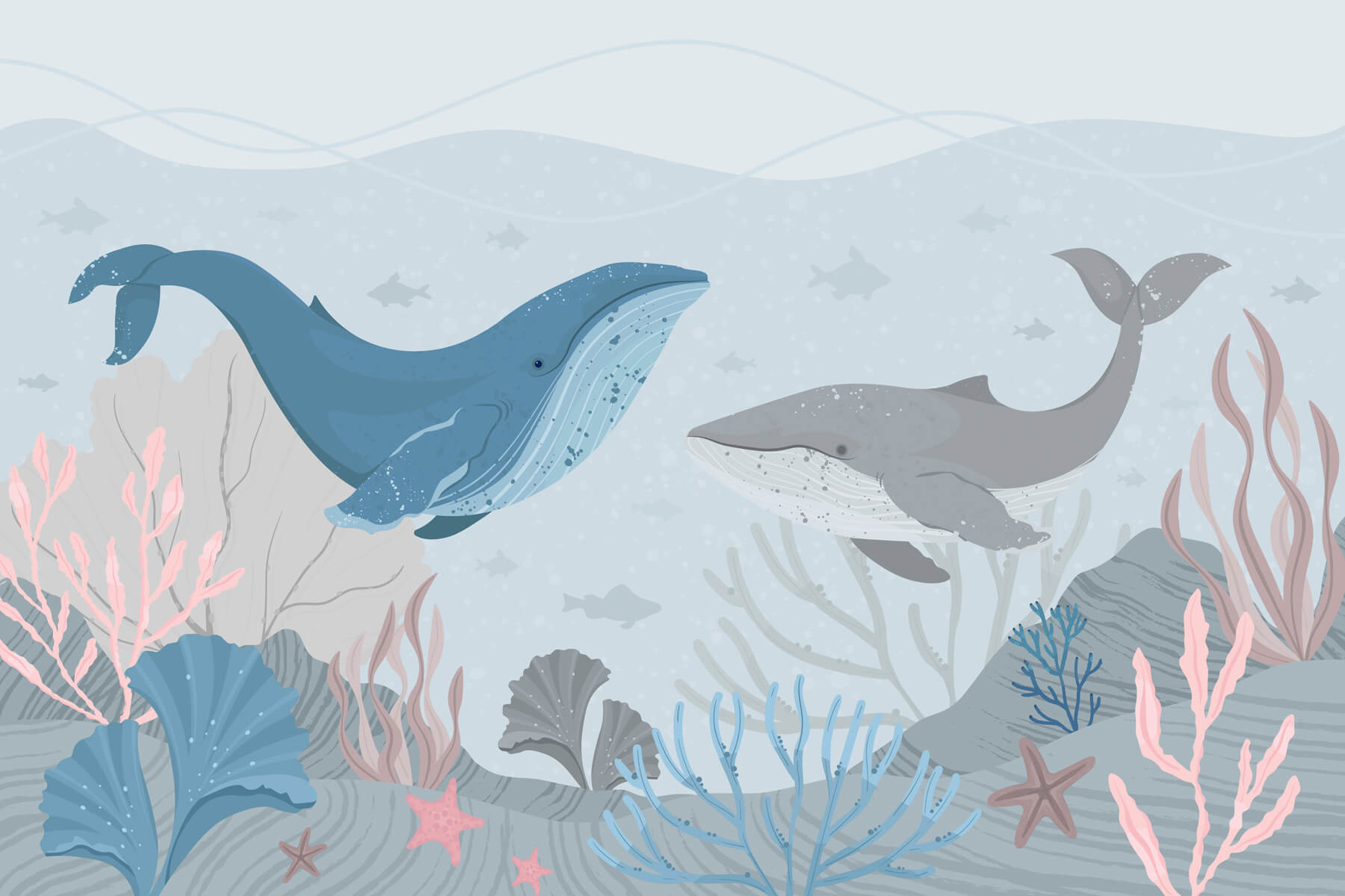 Whale and whale under water Whale and whale under water