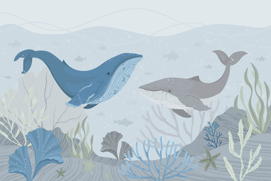 Baleia e baleia a nadar no oceano