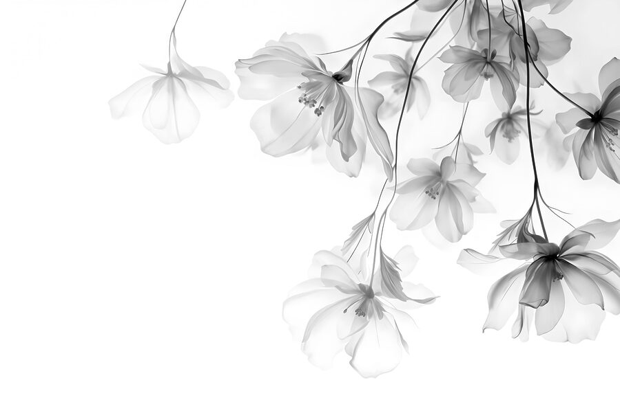 Flores delicadas num fundo suave