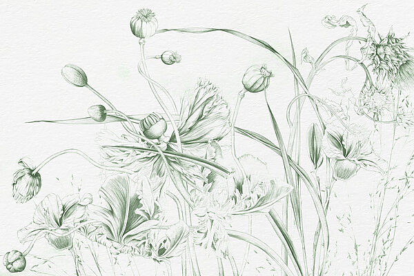 Desenho de flores e folhas Desenho de flores e folhas