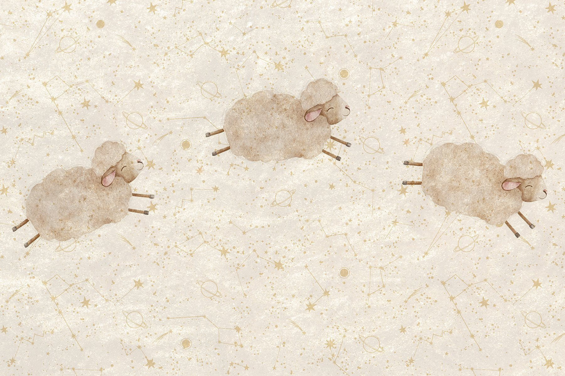 Group of sheep on a white background