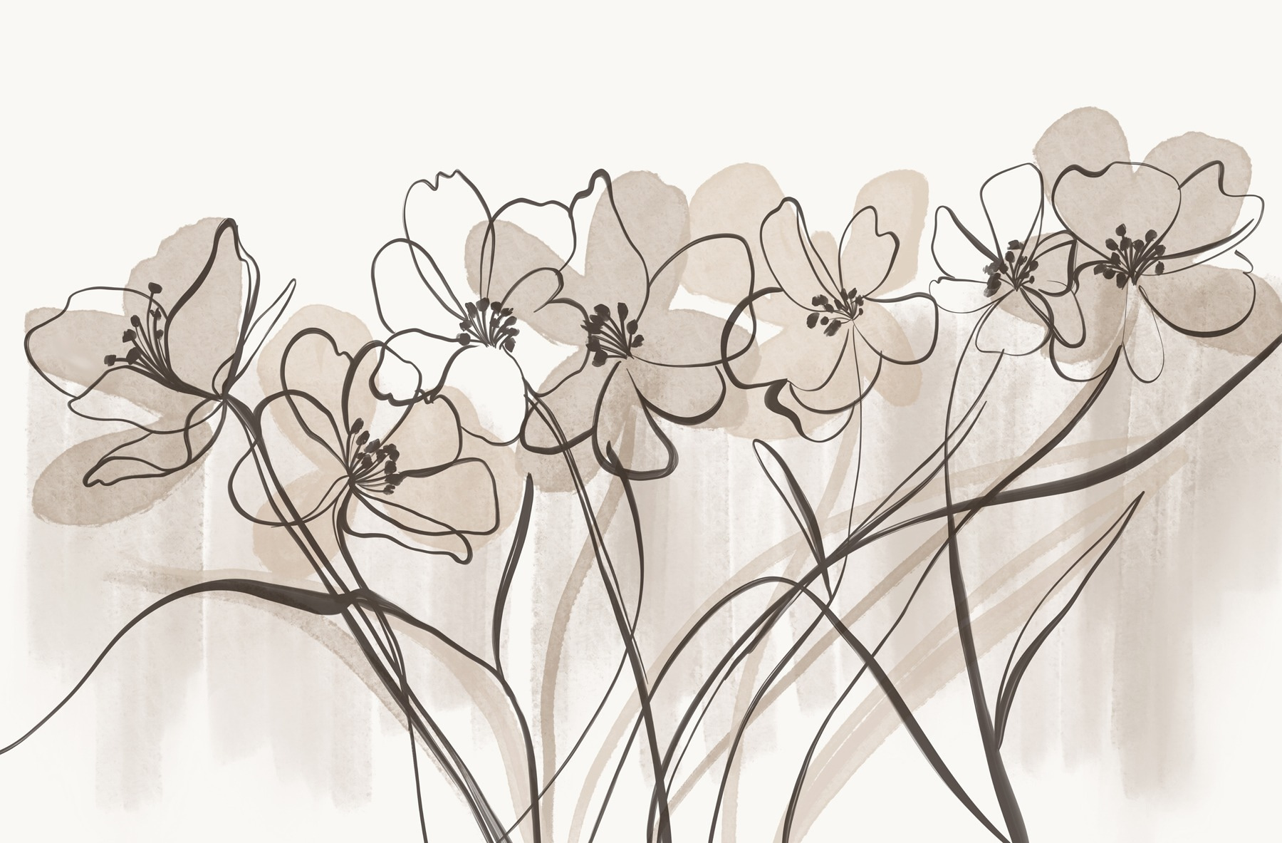 Line of flowers on a white background Line of flowers on a white background