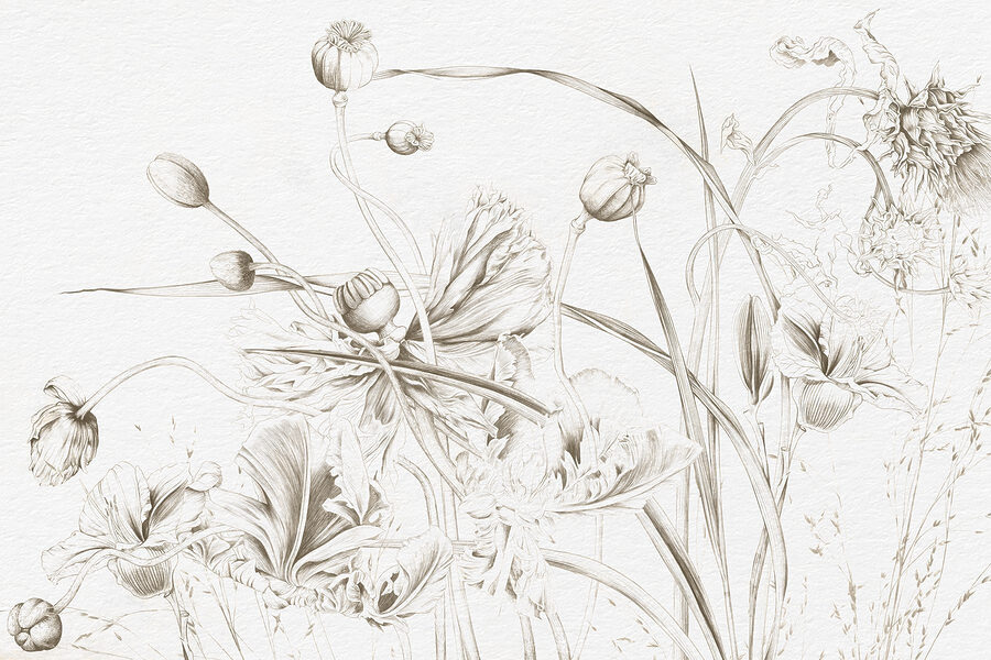 Desenho de flores e folhas