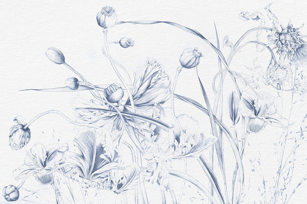 Desenho de flores e folhas Desenho de flores e folhas