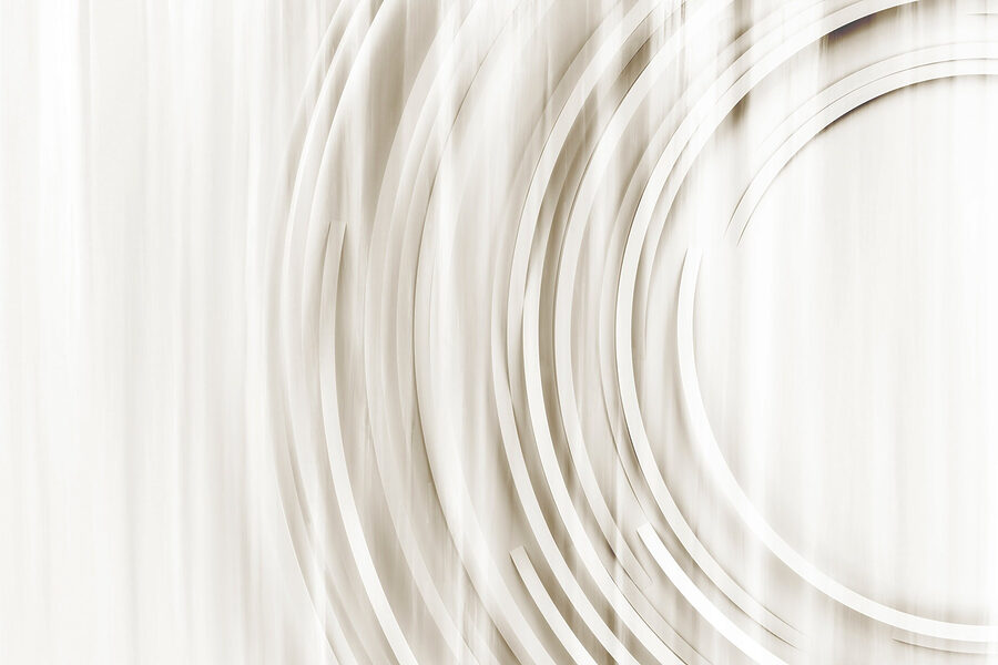 Papel de parede Fundo branco e cinzento com círculos - Image 5