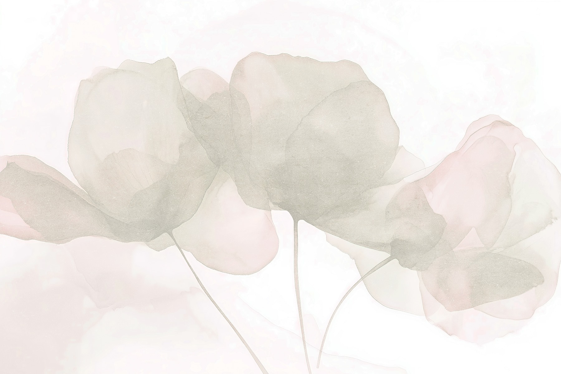 Delicate petals in soft hues