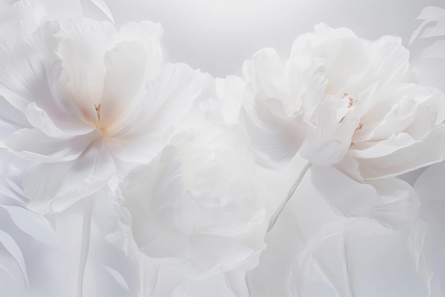 Grupo de flores brancas