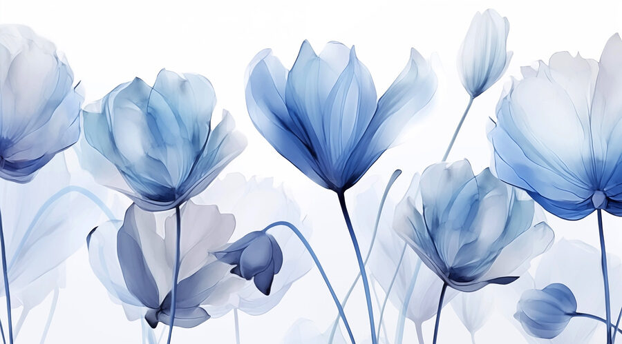Flores azuis e brancas