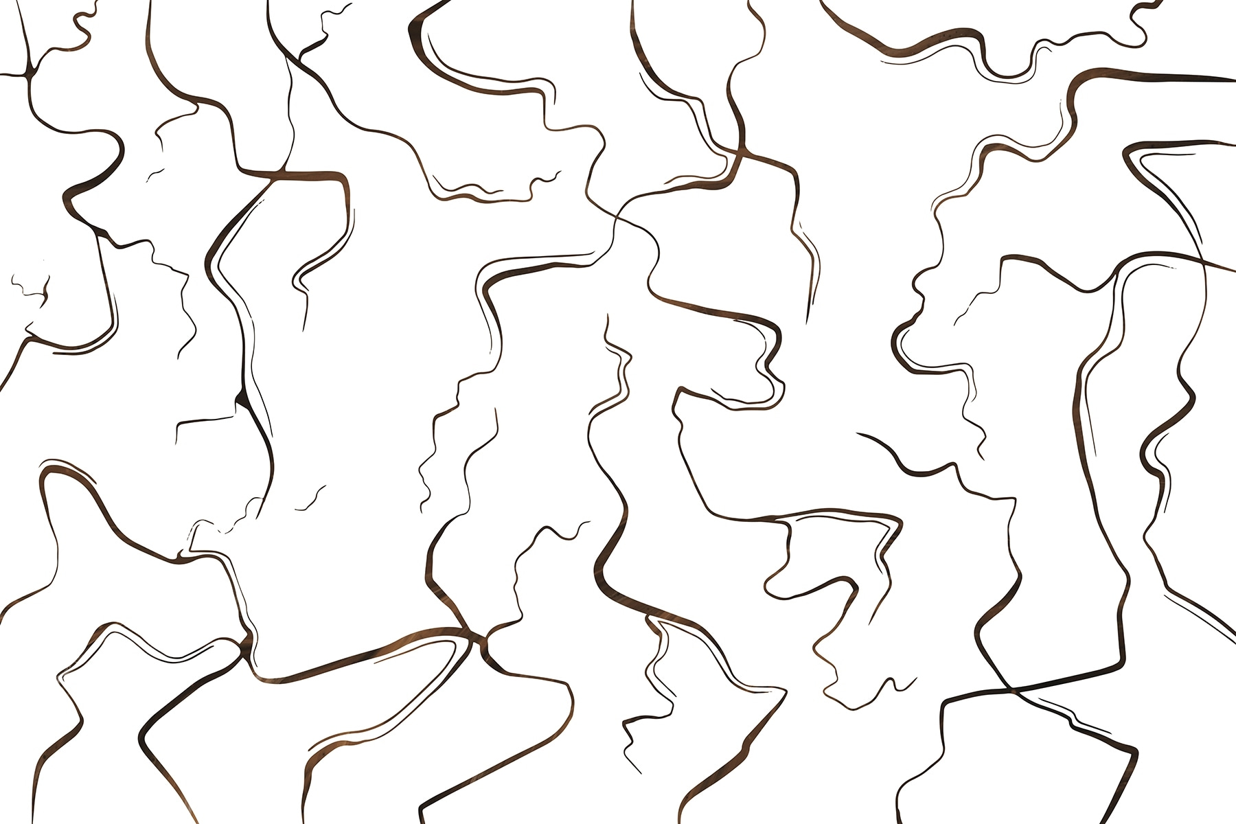 Curves and lines in contrast Curves and lines in contrast