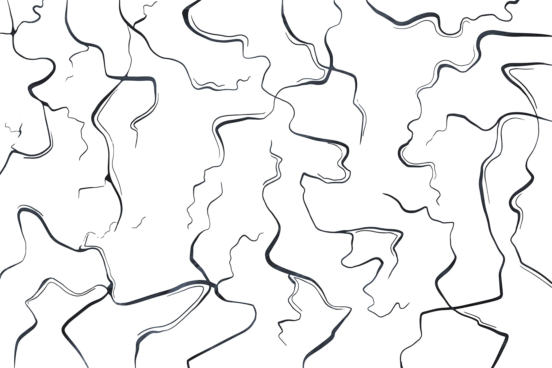 Black and white image of lines Black and white image of lines