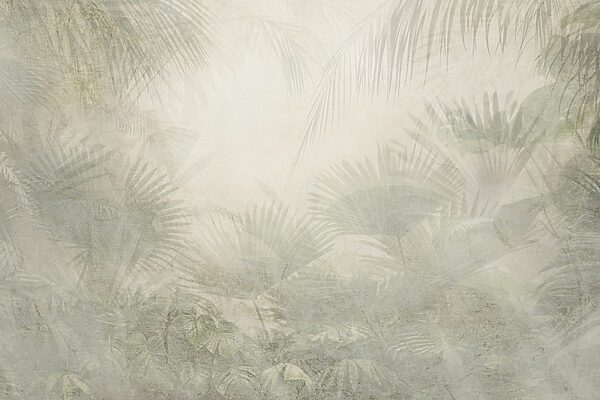 Fundo branco com folhas de palmeira Fundo branco com folhas de palmeira