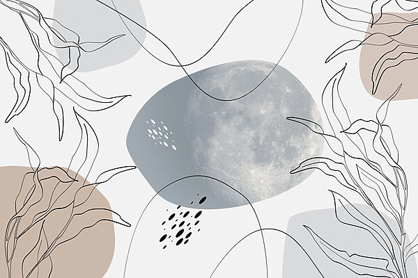 Lua e plantas sobre um fundo branco Lua e plantas sobre um fundo branco