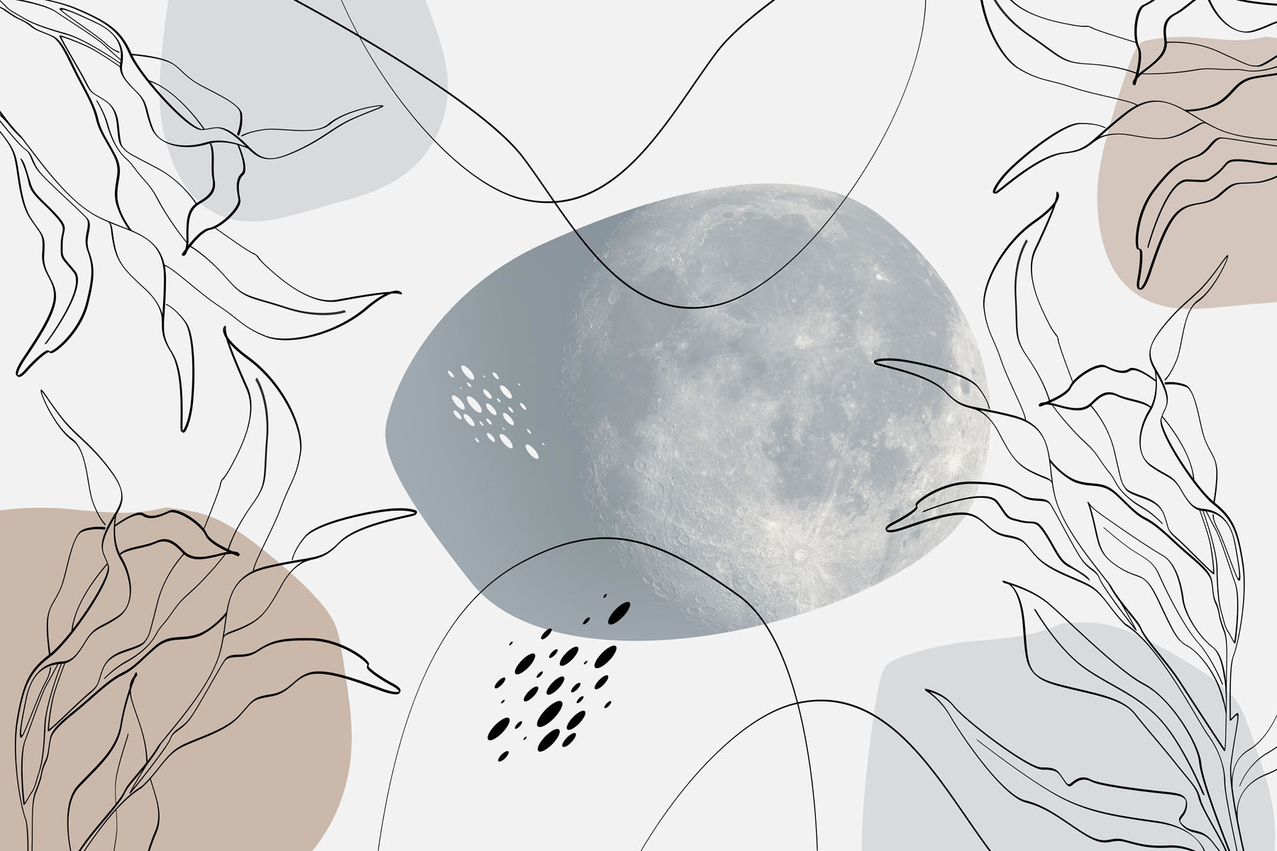 Moon and plants on a white background Moon and plants on a white background