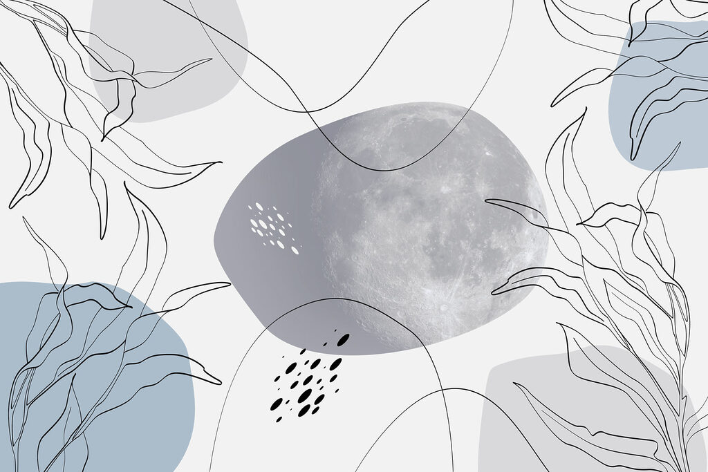 Lua e plantas sobre um fundo branco Lua e plantas sobre um fundo branco