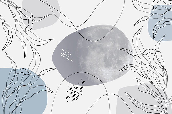 Lua e plantas sobre um fundo branco Lua e plantas sobre um fundo branco