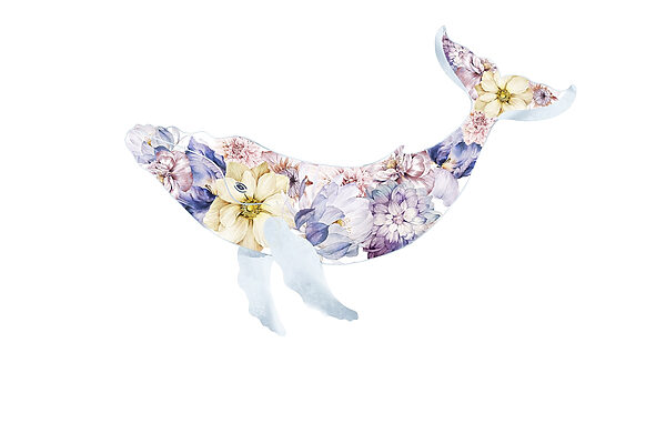 Baleia com flores Baleia com flores