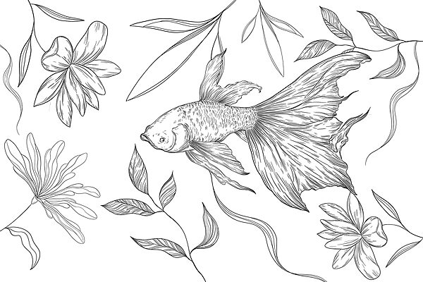 Desenho a preto e branco de um peixe e de plantas Desenho a preto e branco de um peixe e de plantas