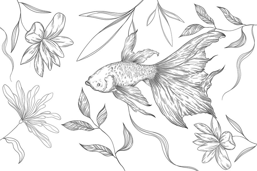Desenho a preto e branco de um peixe e de plantas Desenho a preto e branco de um peixe e de plantas