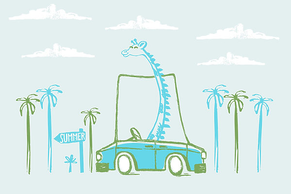 Girafa num carro Girafa num carro