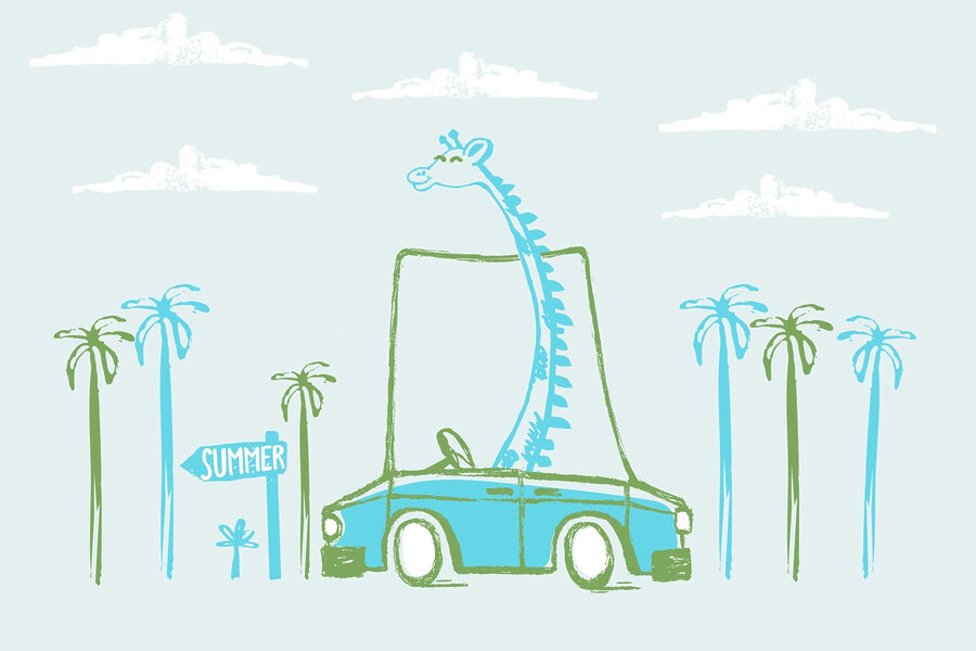 Girafa num carro