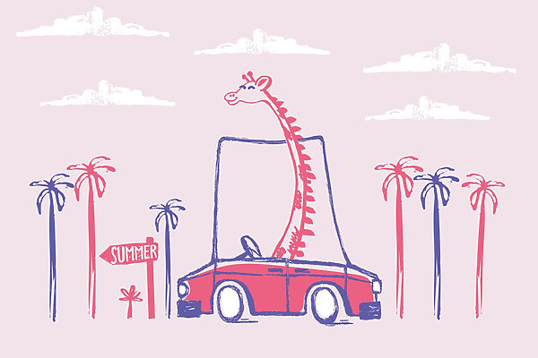 Girafa num carro Girafa num carro