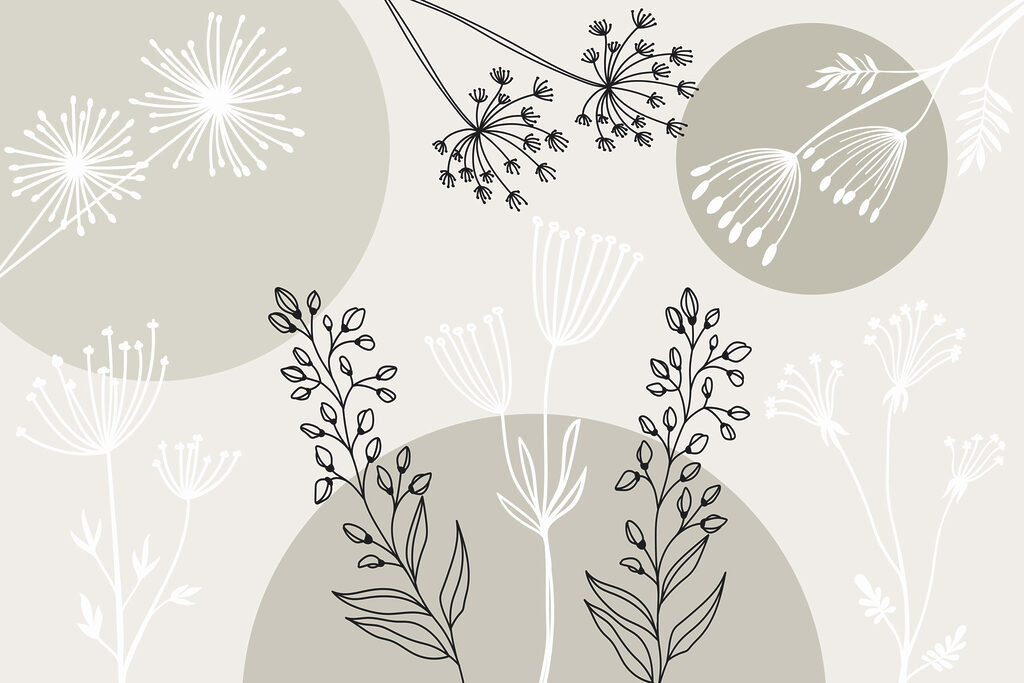 Desenho de flores e plantas Desenho de flores e plantas