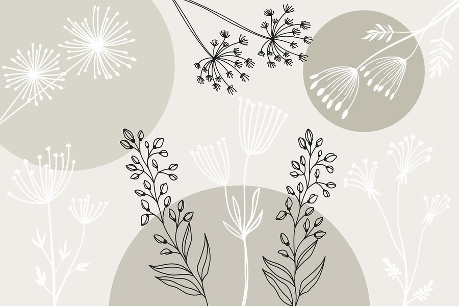 Desenho de flores e plantas