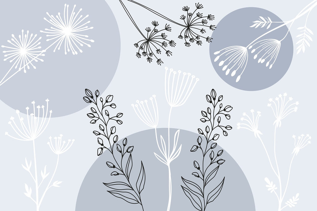 Desenho de flores e plantas Desenho de flores e plantas