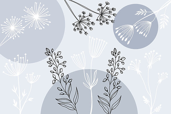 Desenho de flores e plantas Desenho de flores e plantas