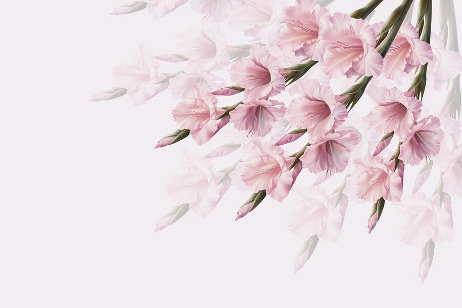 Grupo de flores cor-de-rosa