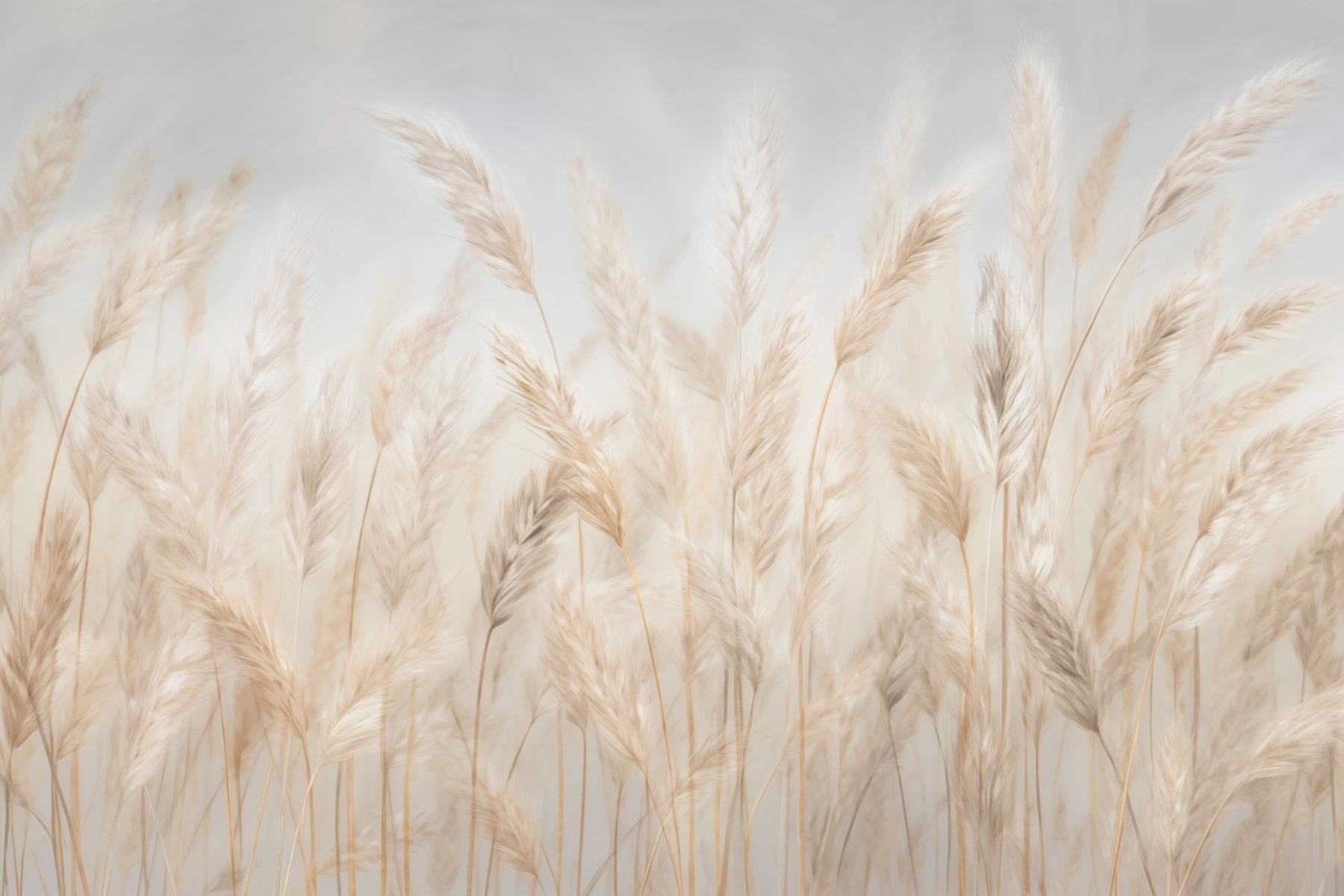 Soft grasses swaying in the breeze Soft grasses swaying in the breeze