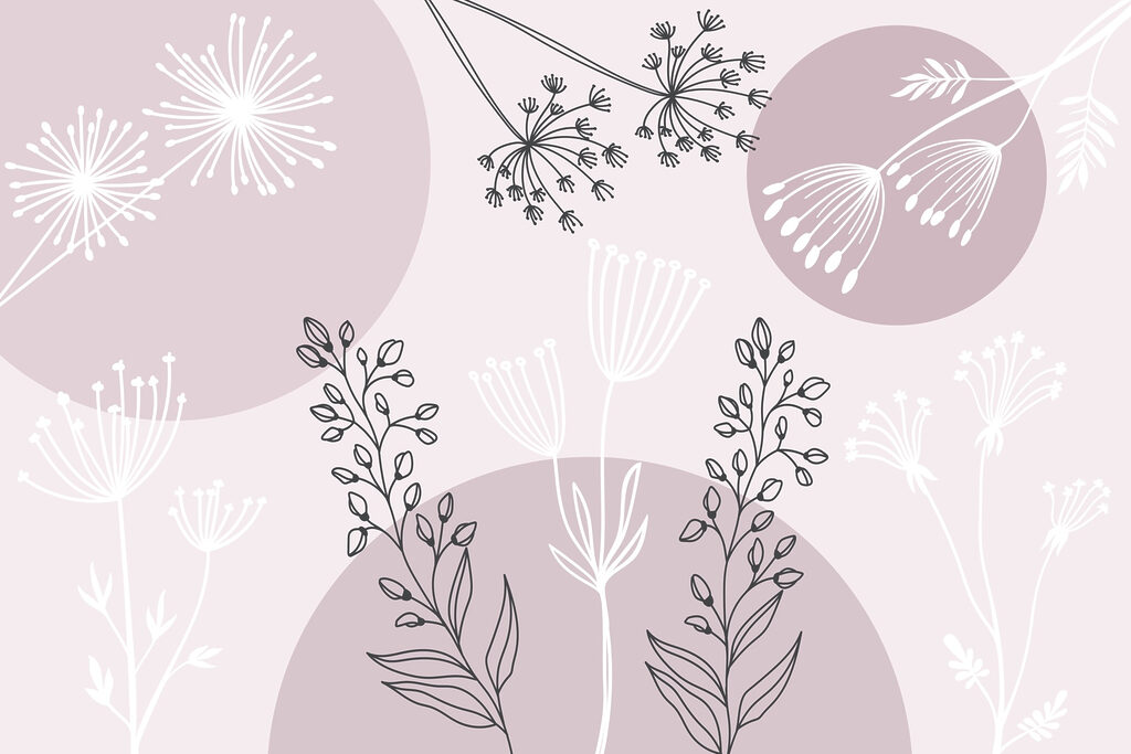 Desenho de flores e plantas Desenho de flores e plantas
