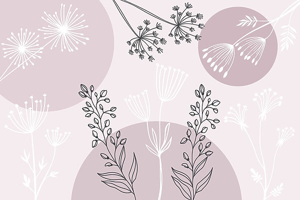 Desenho de flores e plantas Desenho de flores e plantas