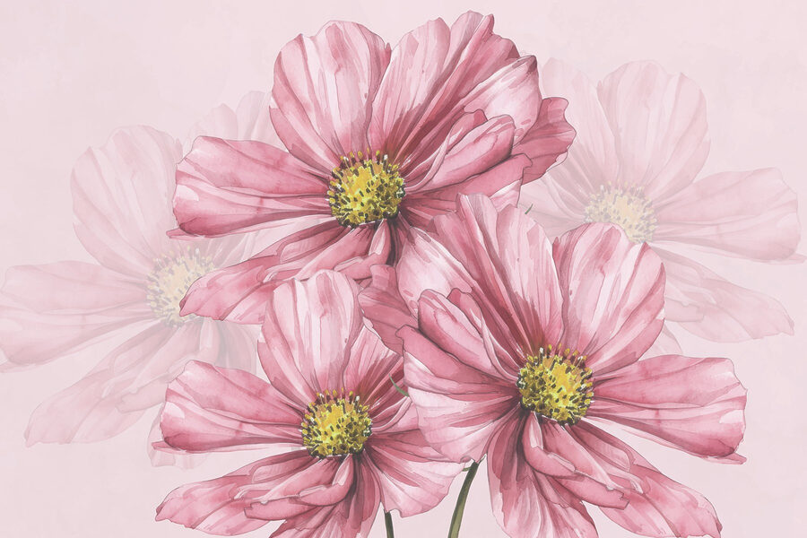 Grupo de flores cor-de-rosa