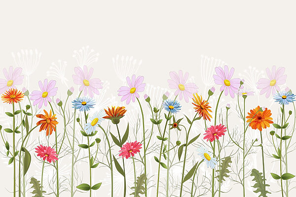 Fileira de flores coloridas Fileira de flores coloridas