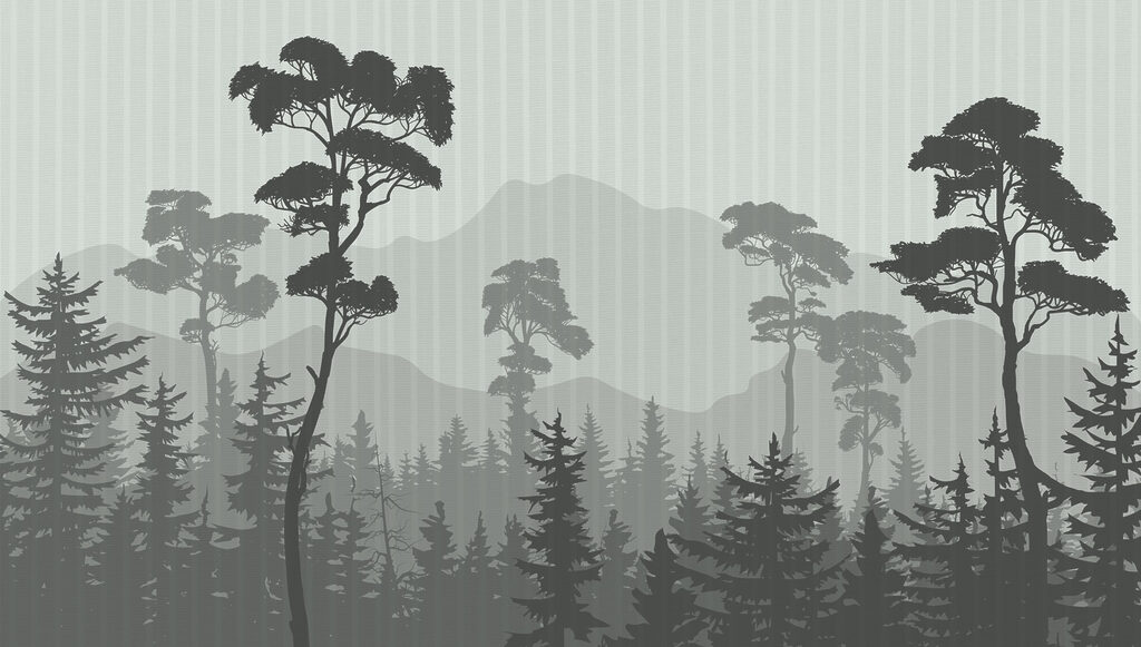 Floresta com montanhas e árvores Floresta com montanhas e árvores