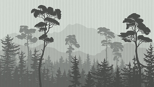 Floresta com montanhas e árvores Floresta com montanhas e árvores