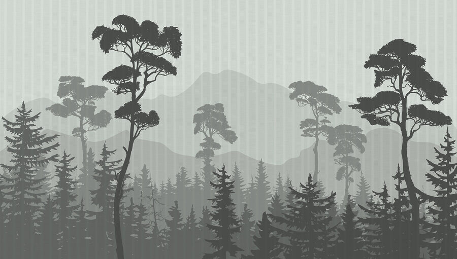 Floresta com montanhas e árvores