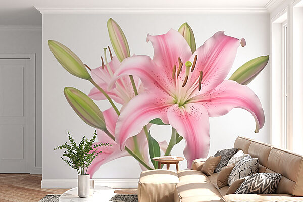 Lírio cor-de-rosa com botões Lírio cor-de-rosa com botões